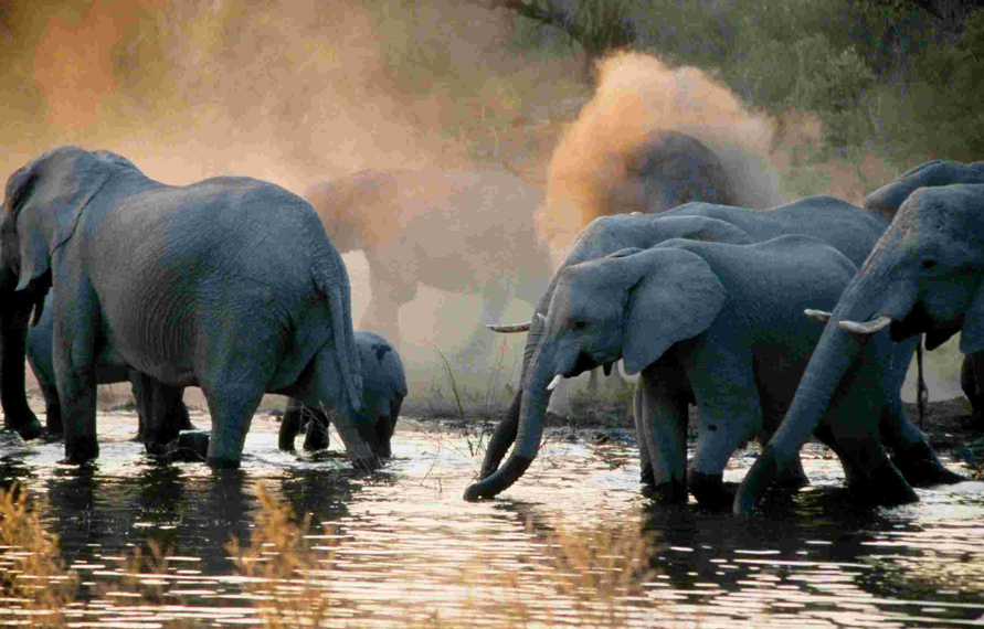 14 Days Wildlife And Cultural Highlights Of India 14 Days Wildlife And Cultural Highlights Of India